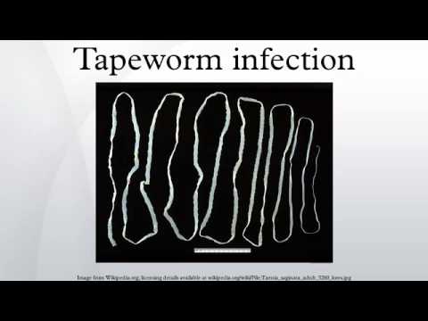 how to treat dwarf tapeworm