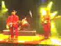 ÁRBOL EN CM VIVO 1