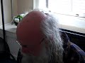 PHILIPLAWRENCESHERROD-S-ORIGINAL-PIANO-COMPOSITIONS-SPRING-PER-FUME-VID00004-MP4