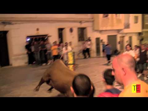 toros