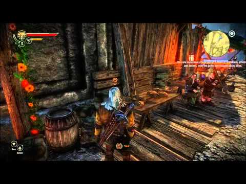 The Witcher 2 : Assassins of Kings
