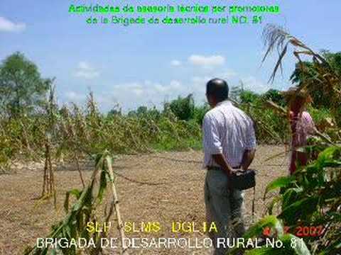 Asistencia técnica por promotores de la Bedr-81 (Dgeta-Sems)