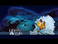 Click here to watch this video [自由海洋] 翻沙海星土遁絕招