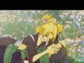 Shikamaru x Temari [My Love]
