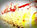 gttler-fldmester-maggykszt.html