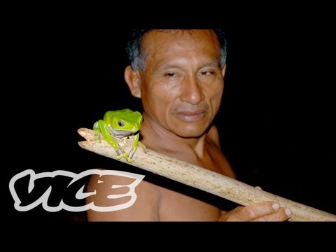 TRIPPING - VICE heads to the Amazon on a hunt for its most hallucinogenic tree frogs. In part 2, federal agents, monster bugs, and an inept shaman keep getting in the w...