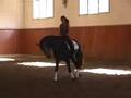 Oportunity PRE Andalusian dressage for sale - WWW.HORSESPRE.COM -