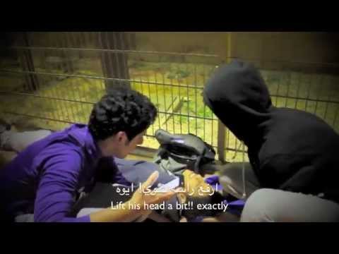 فيلم وثائقي عن الصرع -Epilepsy