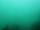 freedive oddicombe 3