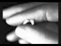 videos de ABORTO