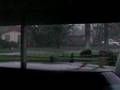 videos de Garbagecans rolling during Hurricane Wilma