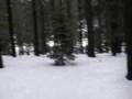 Truckee,California