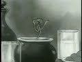 Minnie the Moocher with Cab Calloway &amp; Betty Boop