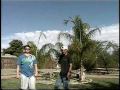2009 UFO FLEET PHOENIX  news report / jeff woolwine