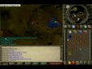 runescape blue dragon killing