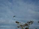 Voo livre morro do moreno