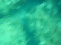 Freedive a 22 metros