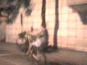 serginho andando de uma roda 2
