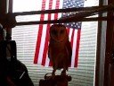 Zoo America on BOB 94.9