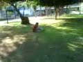 sQuARE bRATS tALES-dE aSS wALKING MAN PART 4