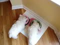 Savannah Jane and Lola Marie