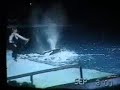 Shamu's Hollywood Night Show SWT 2000
