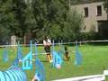 Aleksandra Kordas i APHRODITE Extreme Spitfire (HEXA) II