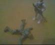 soldier episode 8