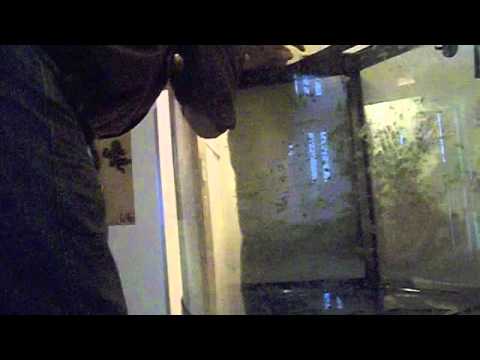 how to fix aquarium leak