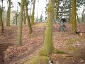 herbst whip bad vilbel
