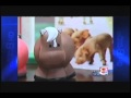 KTUL KTUL