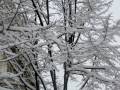 videos de SNOW IN MARSEILLE 07 JANVIER 2009