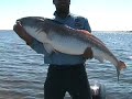 Monster RedFish