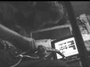 The Surrealistic Picnic Sessions The Surrealistic Picnic Sessions
