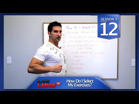 VinceDelMonte - WATCH FULL LENGTH EPISODES TODAY -- http://www.LiveLargeTV.com