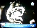 Informe Canal 10 por proyectos de Ley de Animales