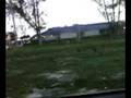 videos de Trying to Catch an Iguana