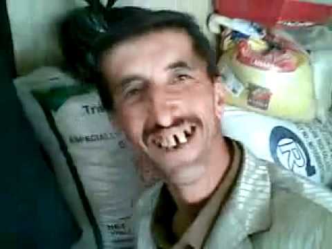 سليمانى - شازى كةوى سليمانى.