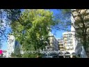 Experience London