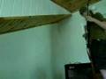 CORT KX1 + VOX AD50VT + BUSOLA
