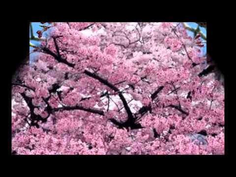 Spencer Combs (Feat Holley Maher) - You Are Mine