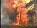 The Narrows Fire  Wildfire Threatens Wrightwood