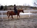 3:01 Elliot aprilby Marianne Apelman 220 views ...