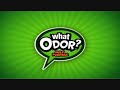 This dub doesn't smell like shit...thanks to what odor! www.jabooodydubs.com AWWWW FUCK!!