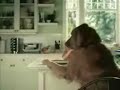Extremely Funny Pets Extremely Funny Pets