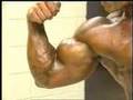 MostMuscular-Com-Tex