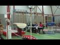 Ariene - Sprong 2