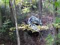 videos de The Mounds 10.04. 08. Jeepers on STEEP wooded trails. 4