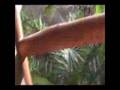 default Enjoy Your Garden More With a Swing Hammock