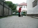 Borderka Beauty
